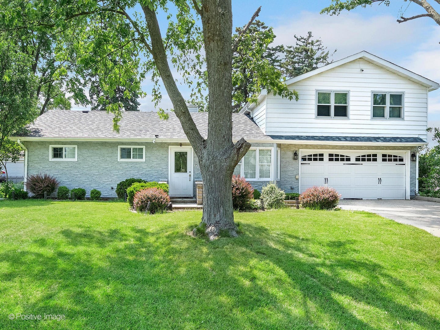 Photo of Listing #12514706