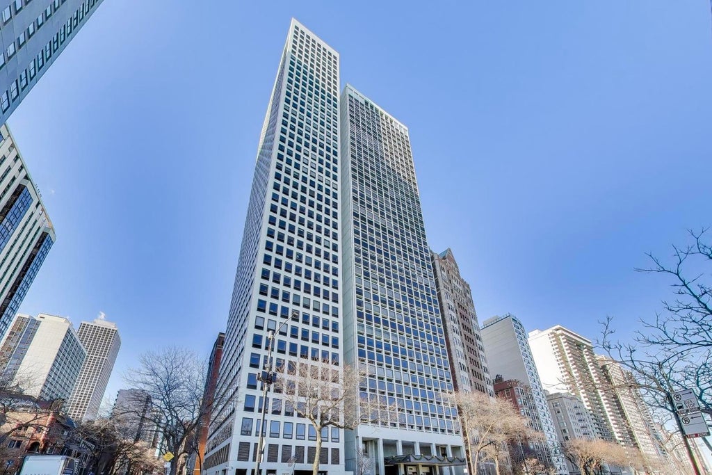 1110 North Lake Shore Drive 29s, Chicago, 60611
