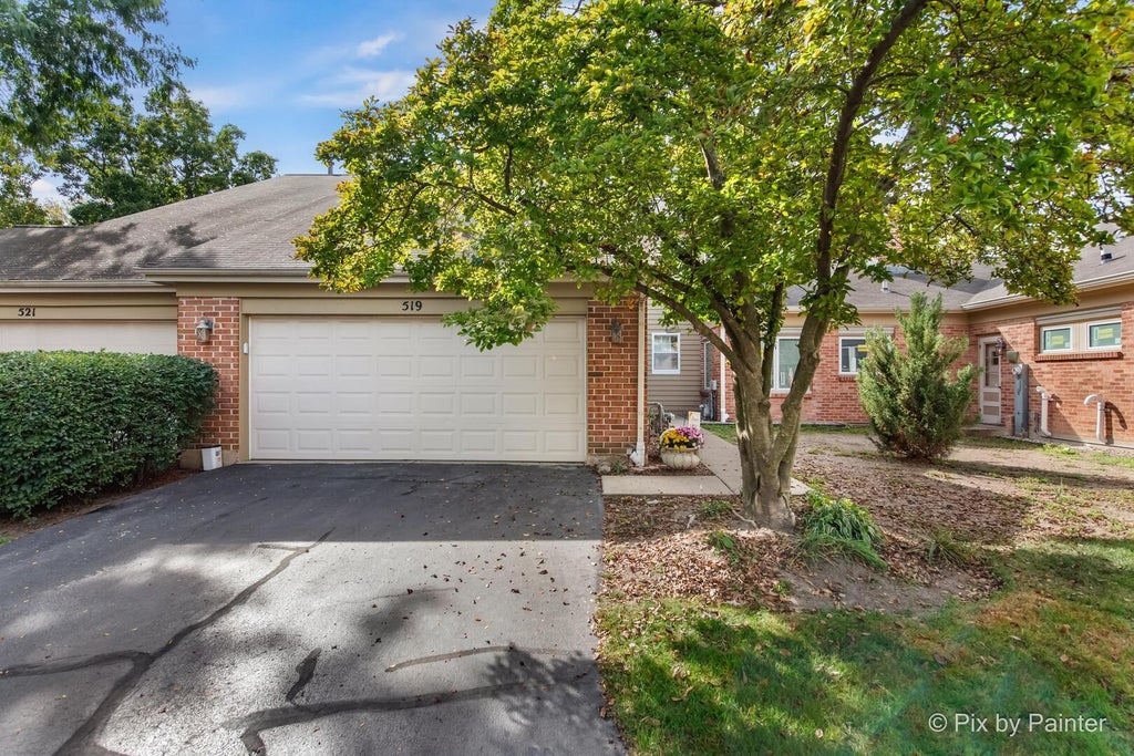 519 Shagbark Drive, Elgin