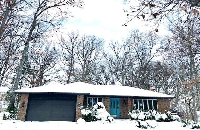 60 West Tam O Shanter Drive, Crete