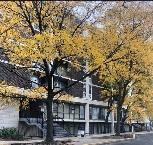 1043 South York Road 208, Bensenville