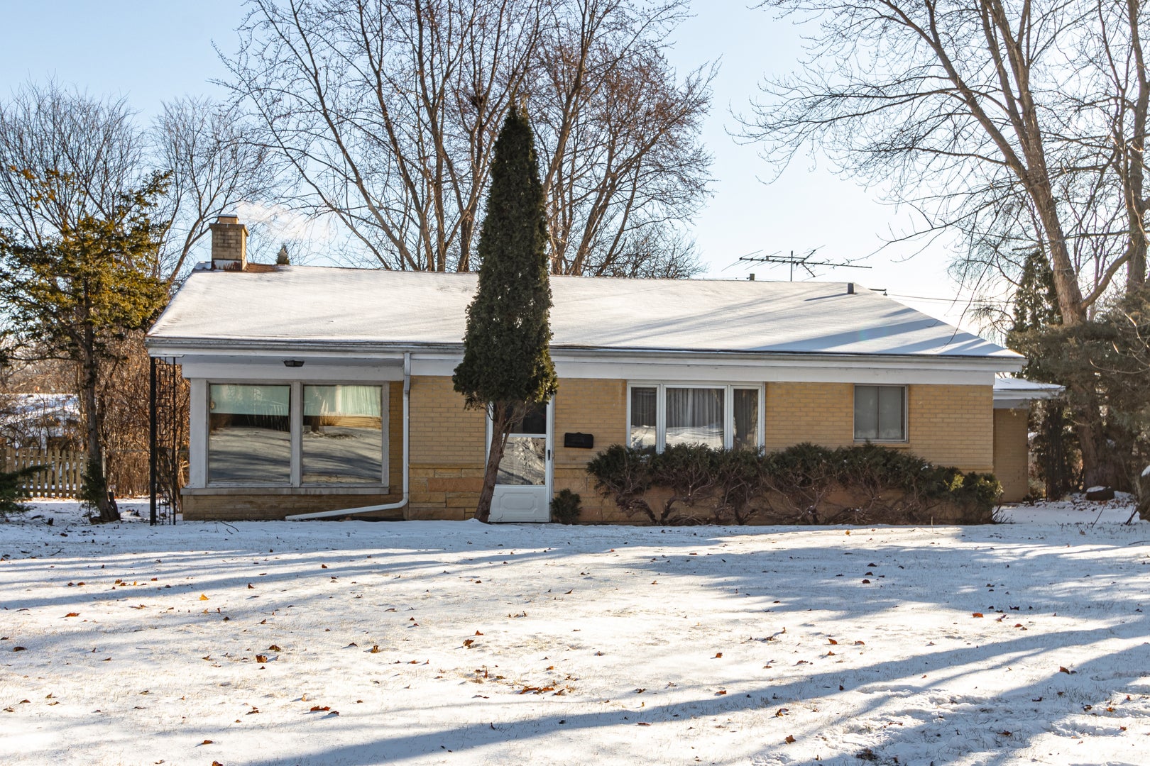 Photo of Listing #12521739