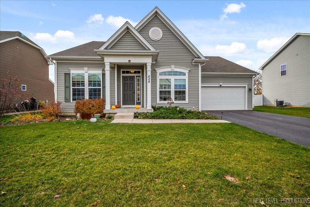 828 Mario Lane, Gilberts