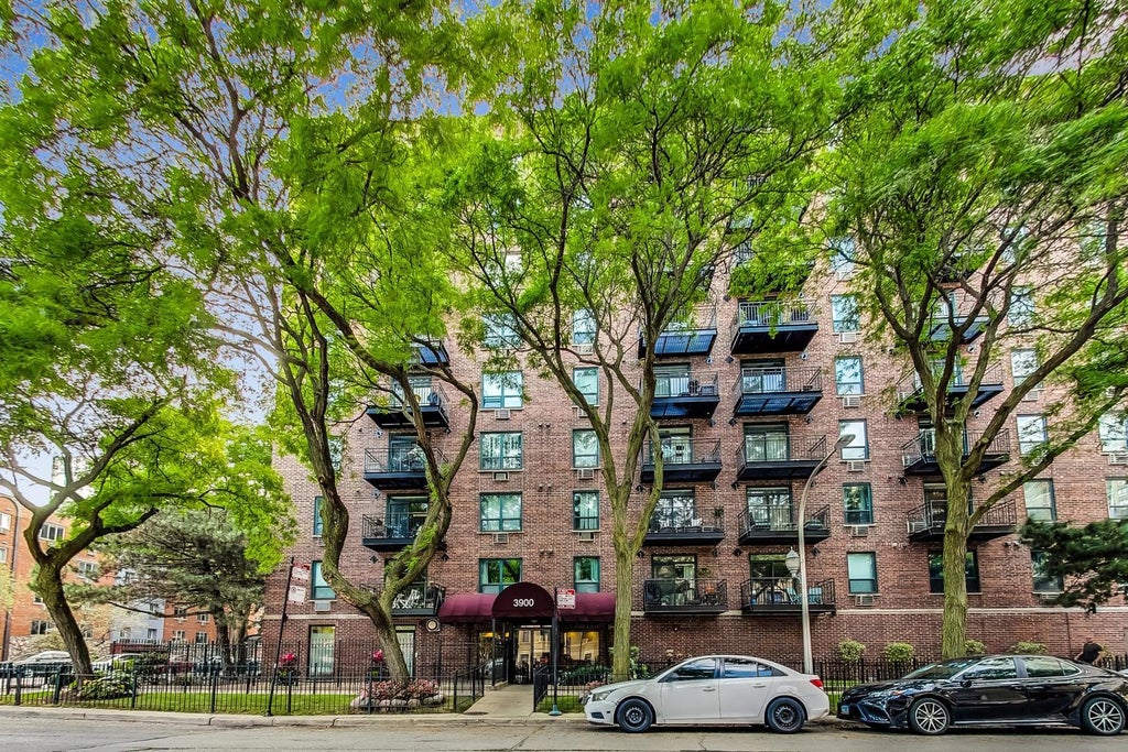 3900 North Pine Grove Avenue 301, Chicago