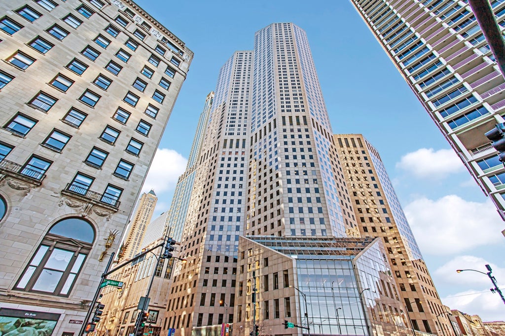 950 North Michigan Avenue 4605, Chicago