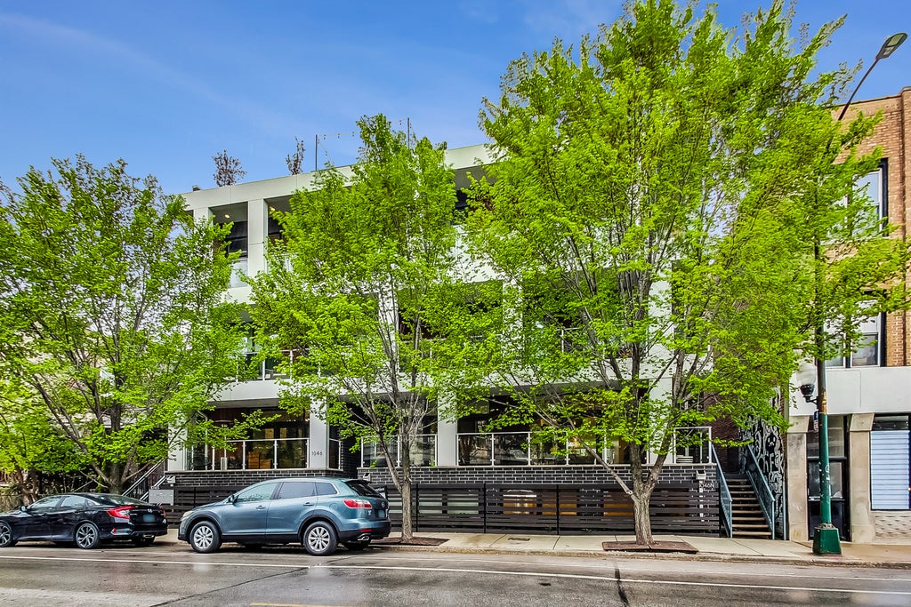 1046 North Damen Avenue 1n, Chicago, 60622