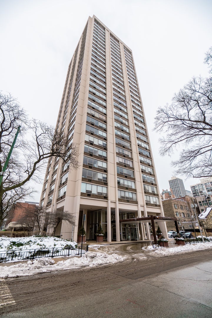 70 West Burton Place 2905f, Chicago, 60610