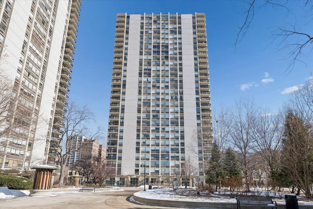 1355 North Sandburg Terrace 2103, Chicago, 60610