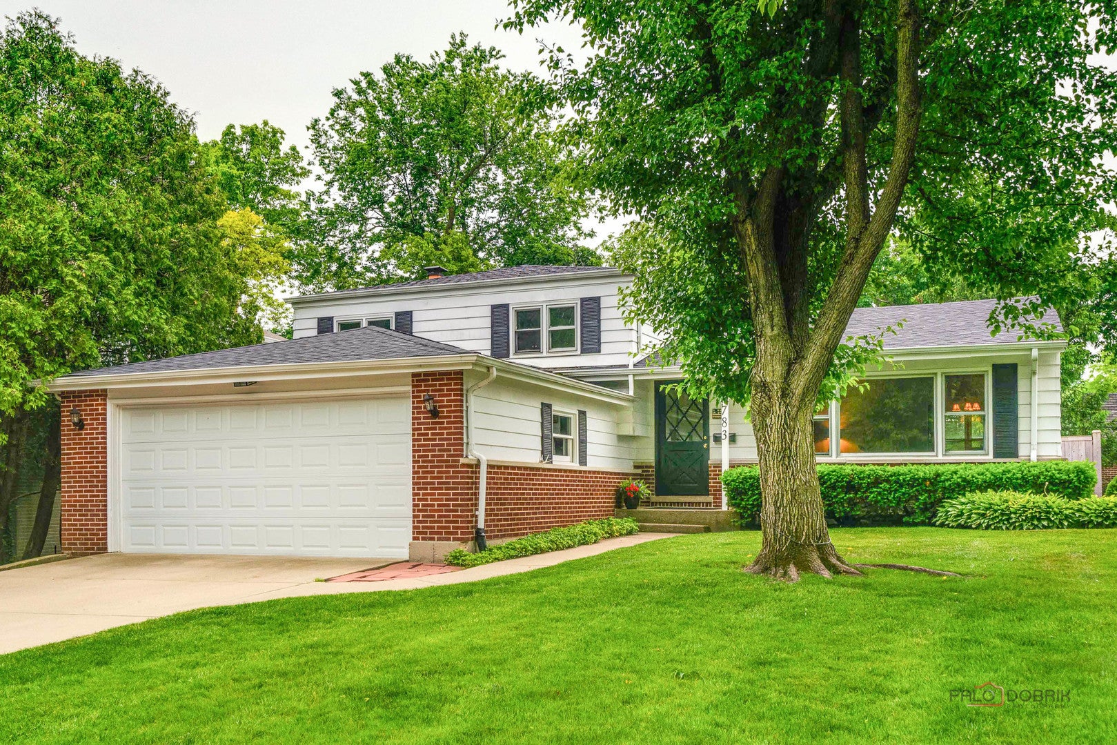 Photo of Listing #12564820