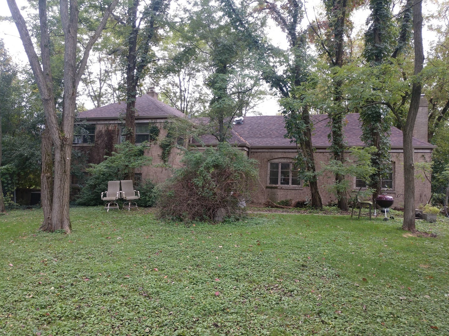 Photo of Listing #12567734