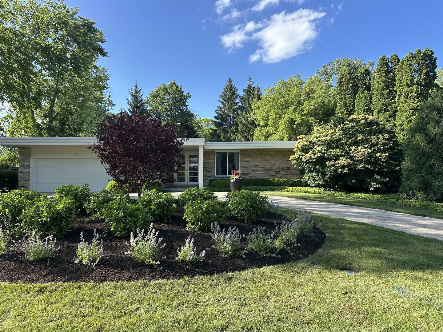 Photo of Listing #12571028