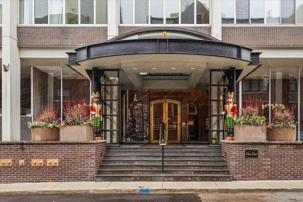 1 East Schiller Street 22a, Chicago, 60610