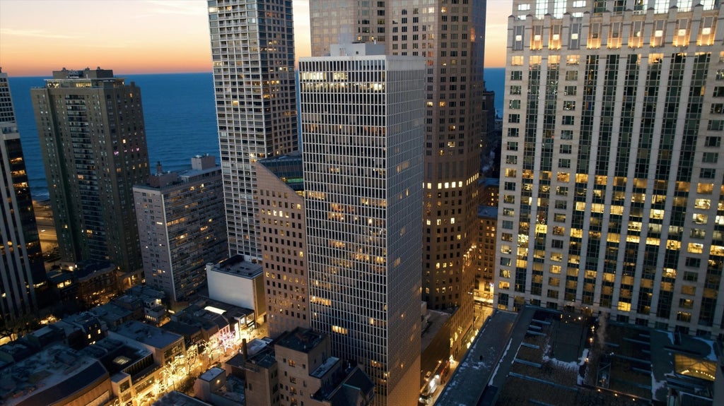 100 East Walton Street 35d, Chicago, 60611