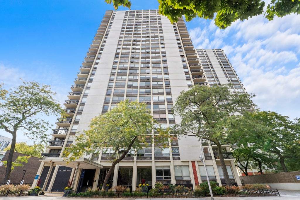 1355 North Sandburg Terrace 2801, Chicago, 60610