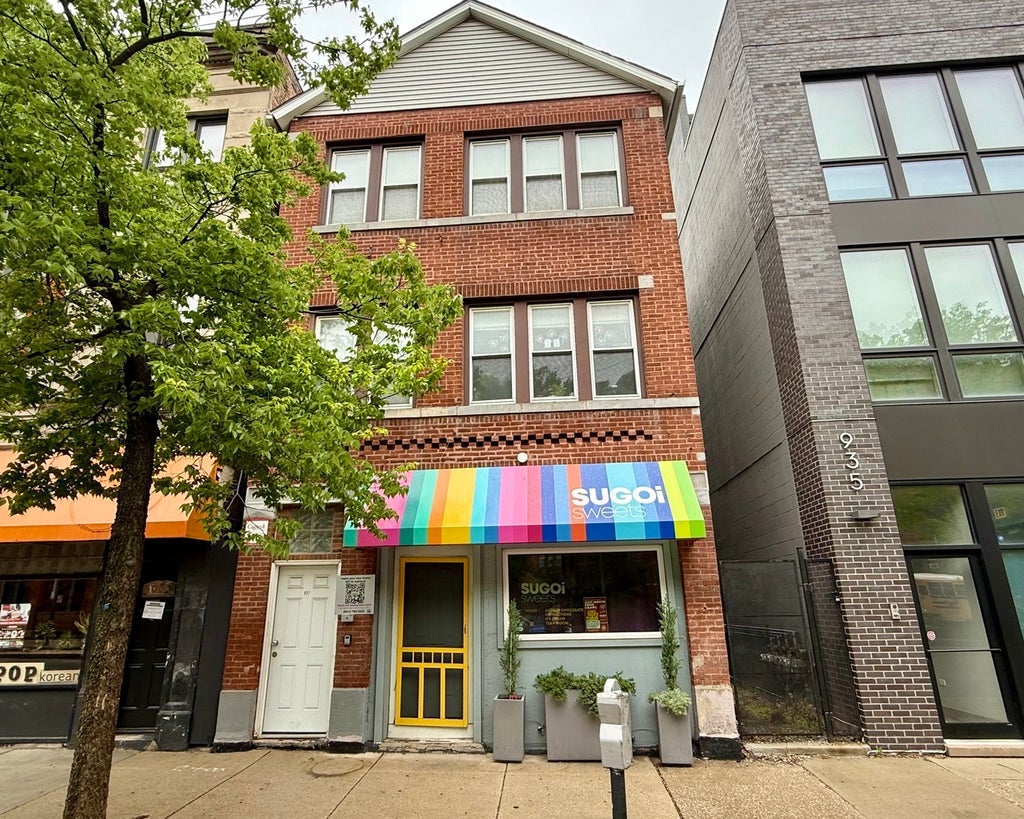 937 North Ashland Avenue 2, Chicago, 60622