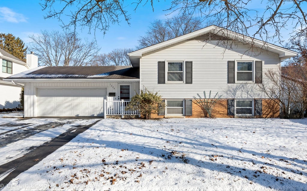 1028 Douglas Avenue, Naperville
