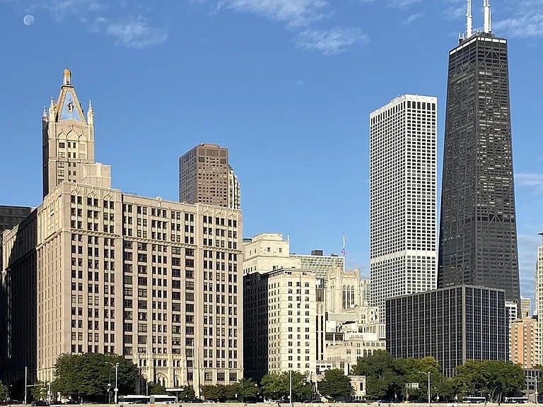 680 North Lake Shore Drive 1119, Chicago, 60611