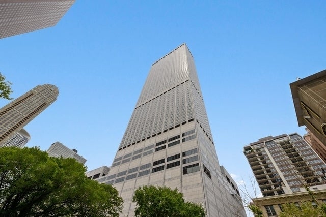 180 East Pearson Street 5805, Chicago, 60611