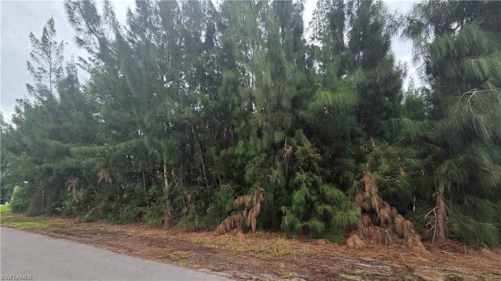 1121 Nw 24th Pl, CAPE CORAL
