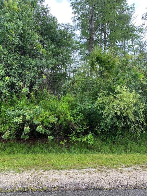 Photo of 16Th St Ne, NAPLES FL