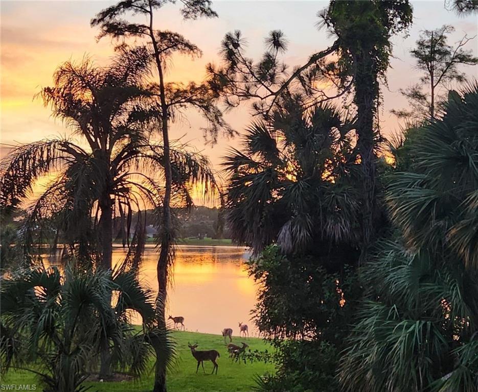 Photo of Listing #225074570