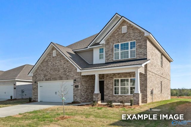 114 Cotita Drive, Toney