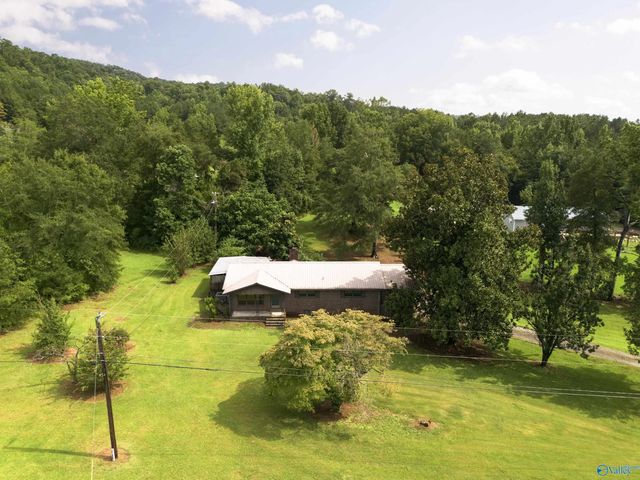 9950 Alabama Highway 91, Hanceville