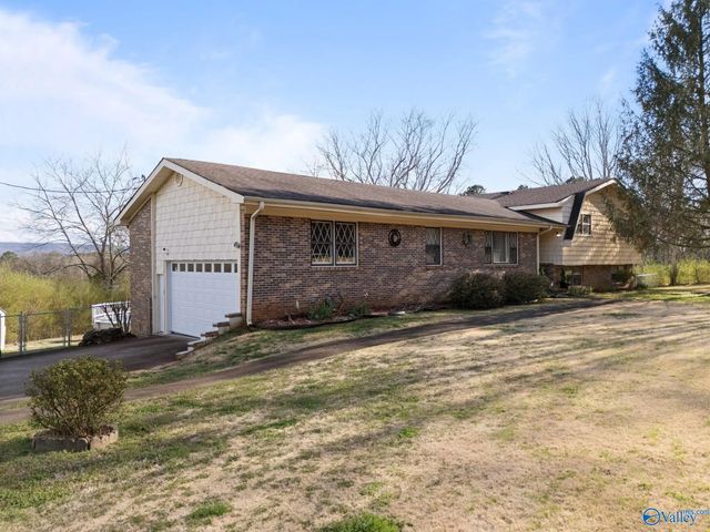 1166 County Road 36, Hollywood