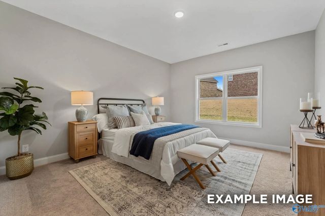 14099 Hazel Meadow Drive, Athens