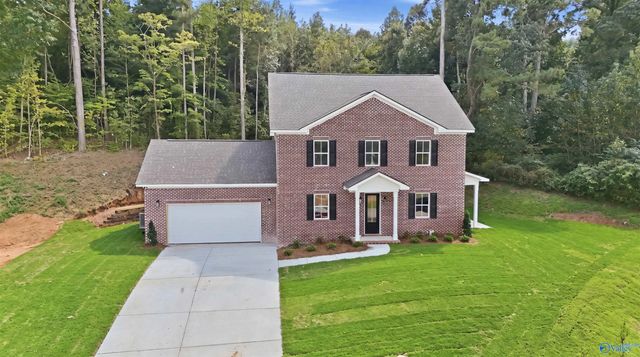 204 Tumbleweed Drive, Guntersville