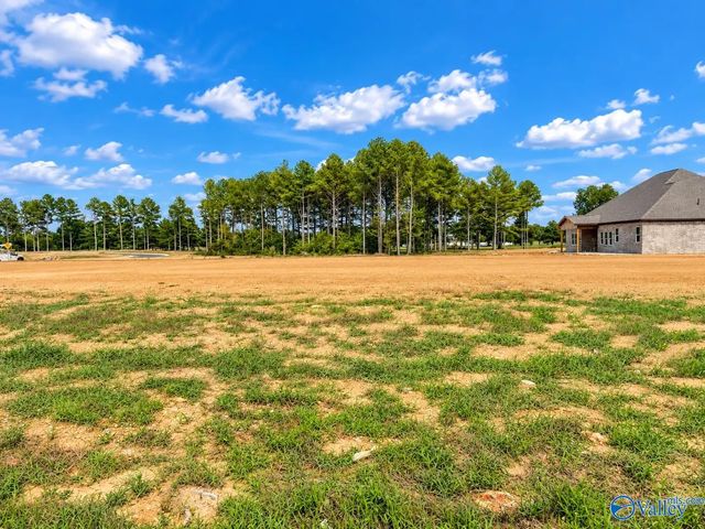 12345 Spyglass Lane, Athens