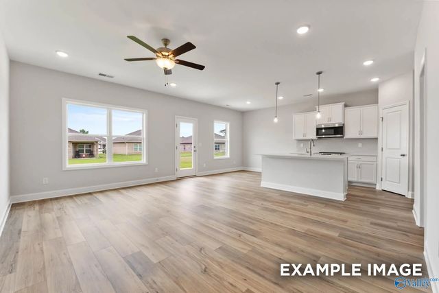377 Overland Pass, Arab