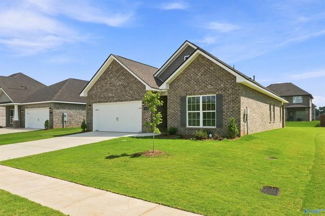 113 Berry Blossom Drive, Toney
