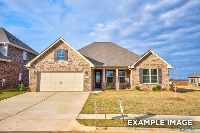 205 Slade Thomas Drive, Meridianville