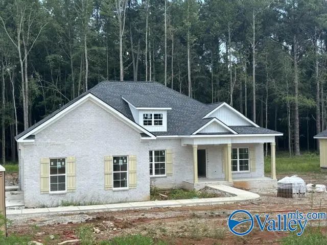 2521 Carters Gin Road, Toney