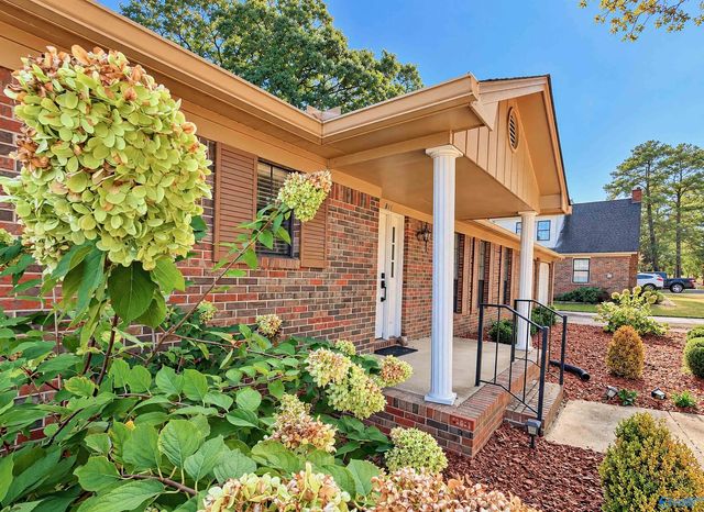 811 Tammy Street Sw, Decatur