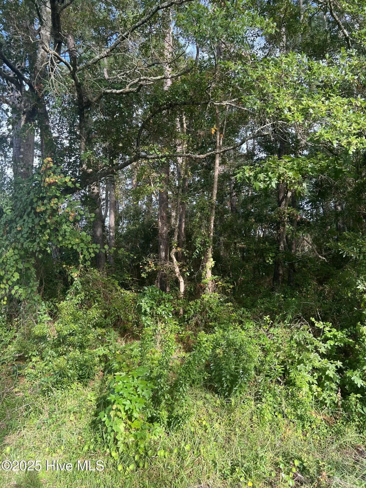 27 Ne 52nd Street, Oak Island