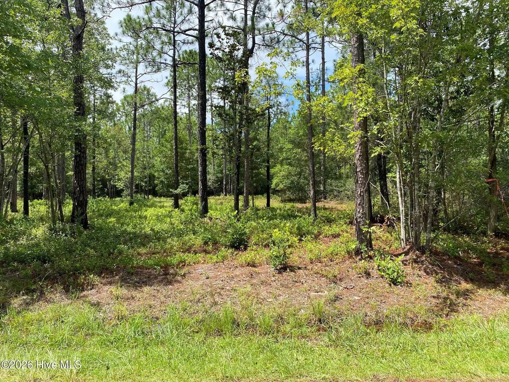361 Ash Road, Boiling Spring Lakes
