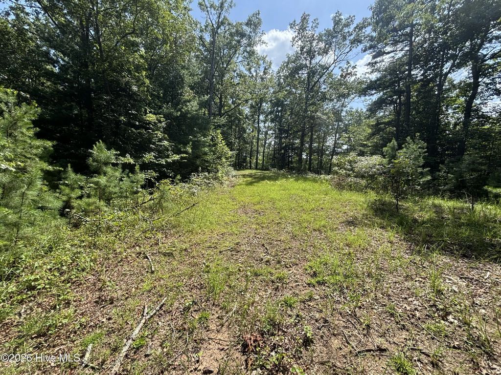 5 Majestic Mountain Trail, Murphy