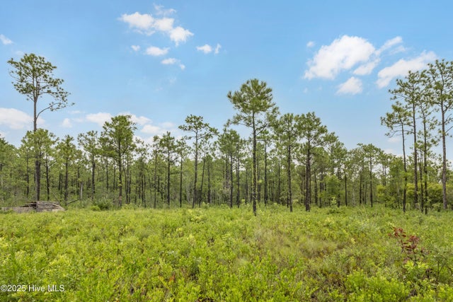 17 Hwy Off, Hampstead