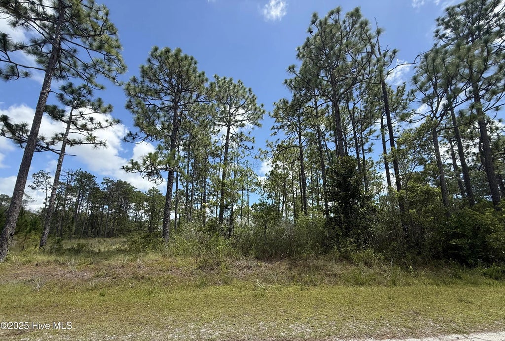 407 Sunset Road, Boiling Spring Lakes