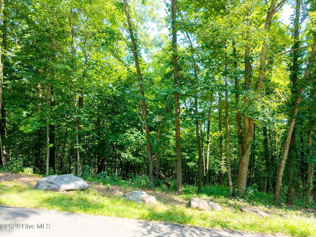 46 Buck Ridge Drive, Murphy