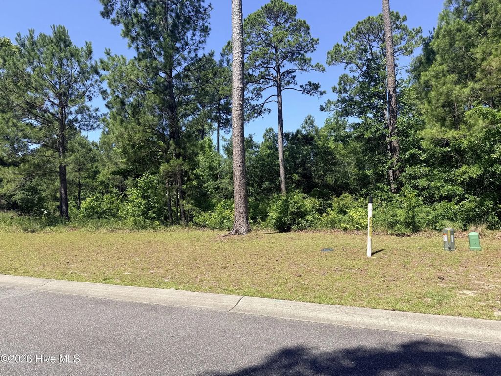 3808 Silver Melon Road Ne, Leland