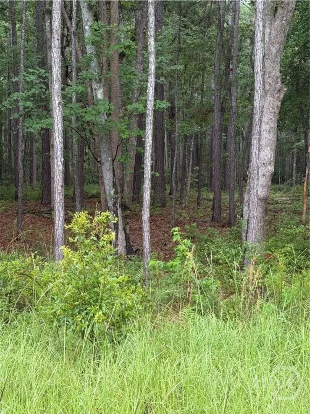 157 Wood Haven Lane, Pooler