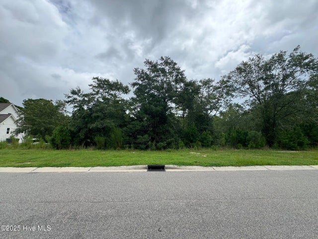 3906 Bay Colony Road Ne, Leland