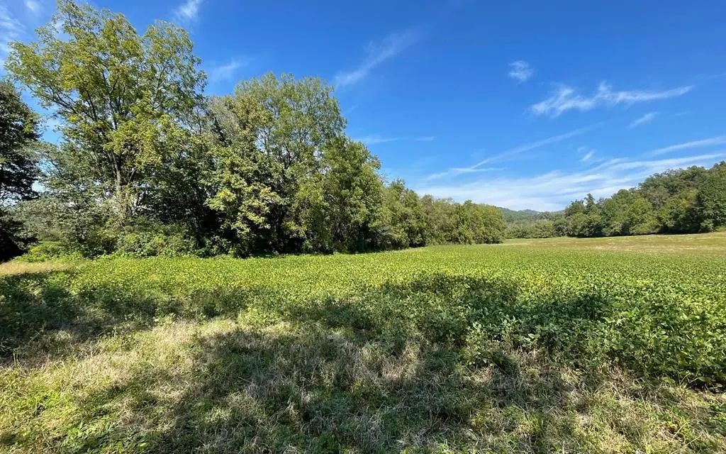 37+ Ac Jarrett Road, Hayesville