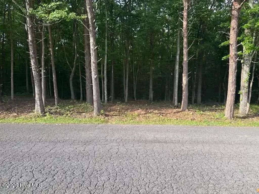 Lot #8 Tennessee 68, Turtletown