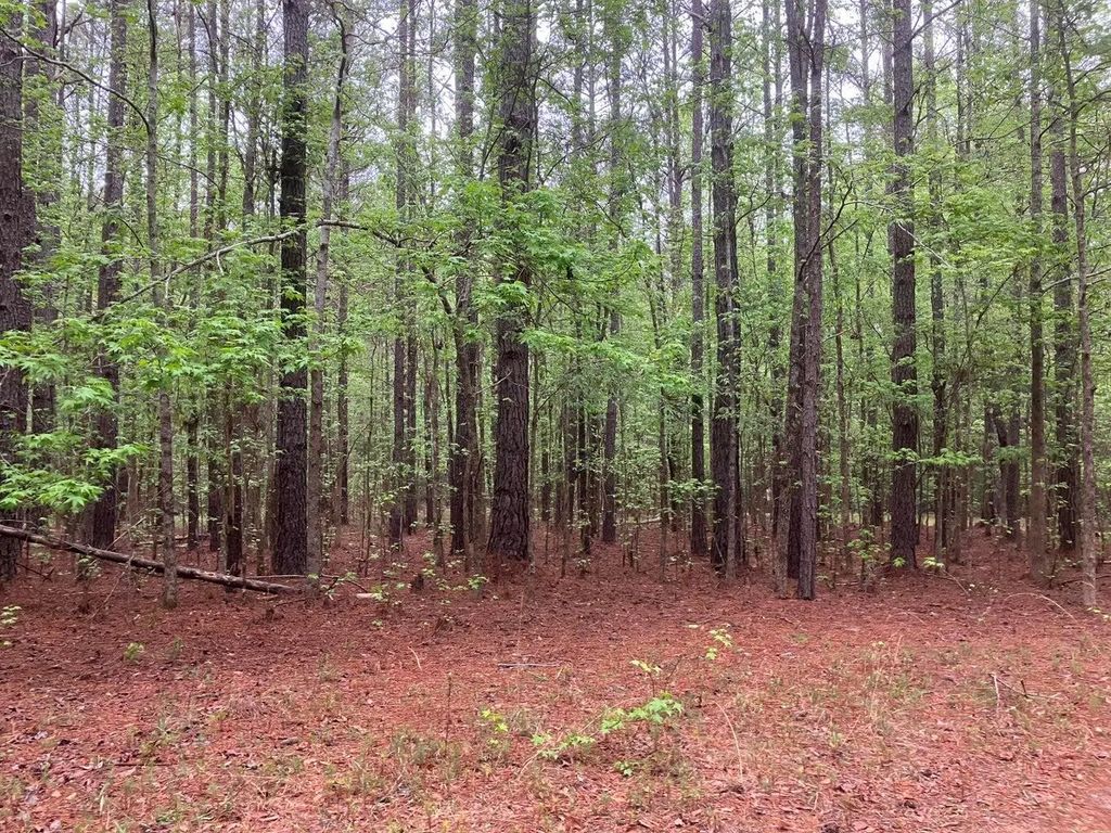 935 Neptune Trail, Columbia