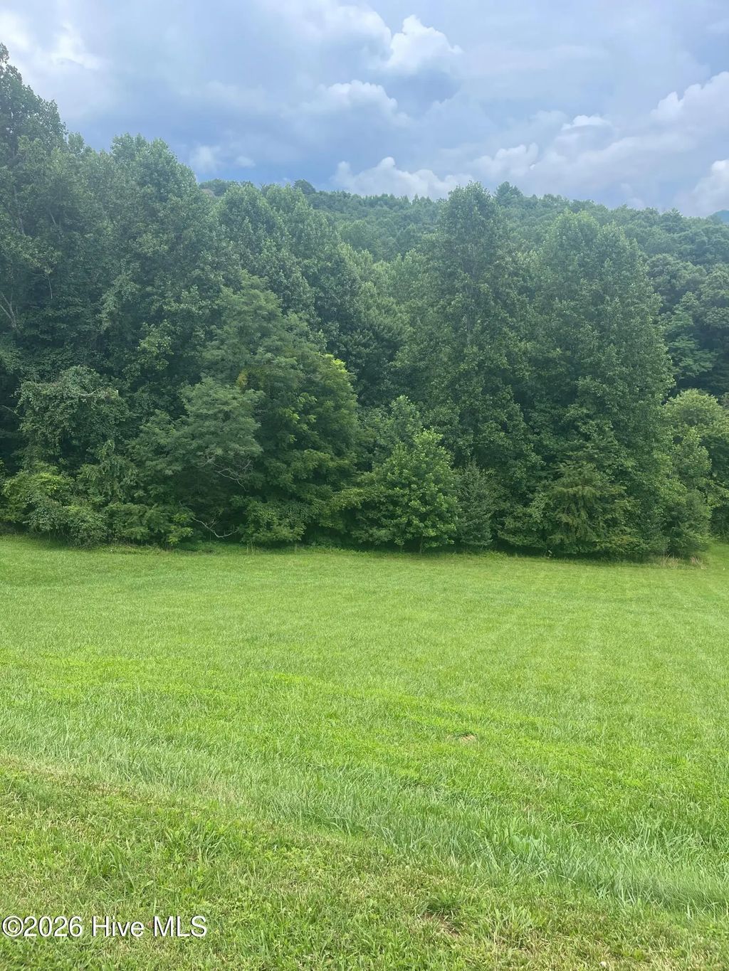 Lot 22c Ash Branch Circle, Hayesville