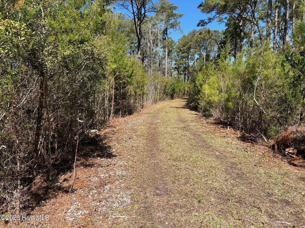 150 Styron Creek Road, Sea Level